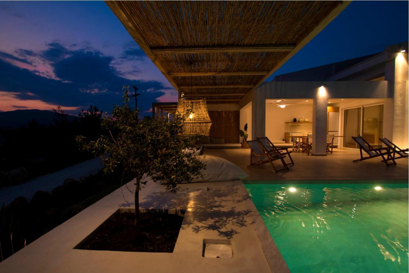 Aristotelia Gi - Premium Luxury Villas With Private Pools Olympiada Zewnętrze zdjęcie